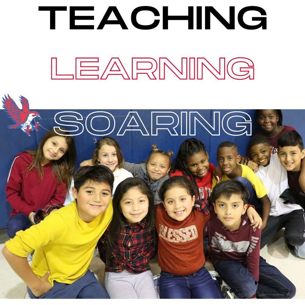 Falcon Curriculum Availability