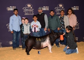 Texas Elite Gilt Showcase Results