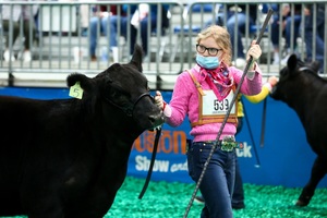 Royal FFA Exhibitors Win BIG at the Texas Major Livestock Shows