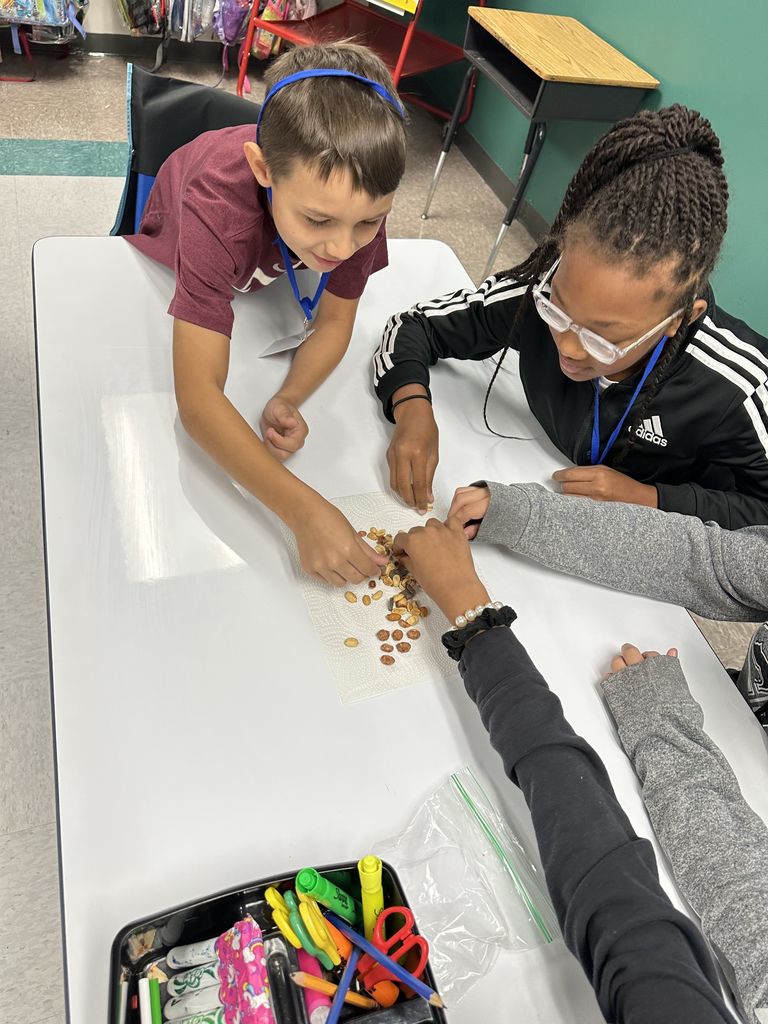 Students at a table separate a trail mix mixture. 
