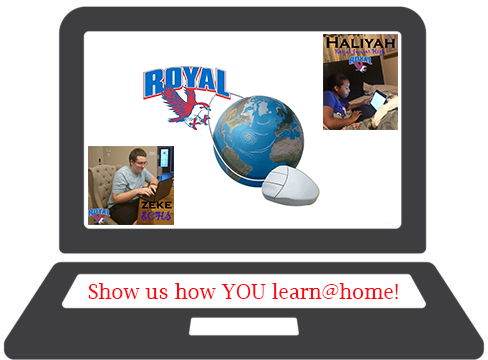 Check out ECHS student Zeke learning@home!