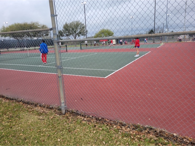 Falcon tennis 